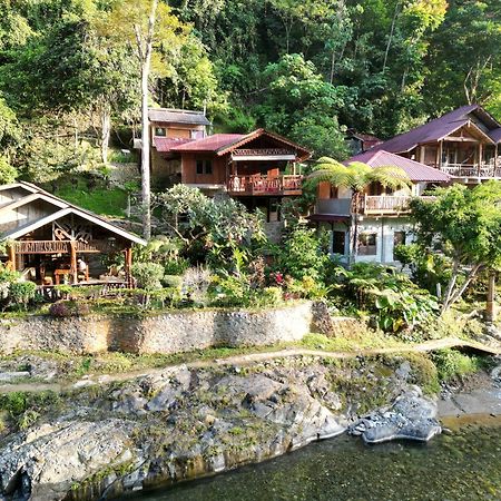 Kupu Kupu Garden Guest House & Cafe 부킷 라왕 외부 사진