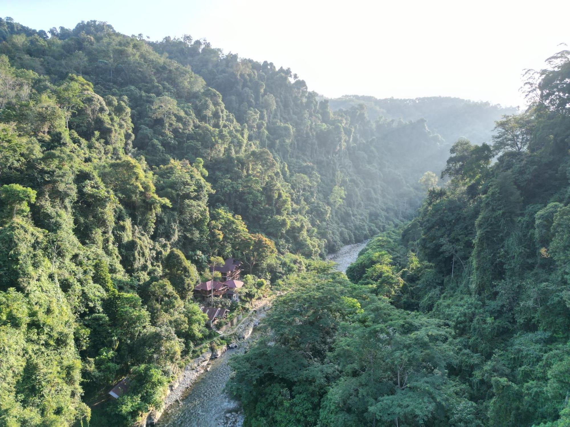 Kupu Kupu Garden Guest House & Cafe 부킷 라왕 외부 사진