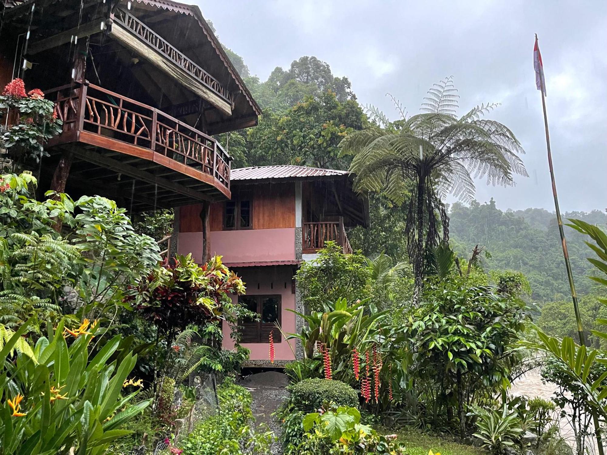 Kupu Kupu Garden Guest House & Cafe 부킷 라왕 외부 사진