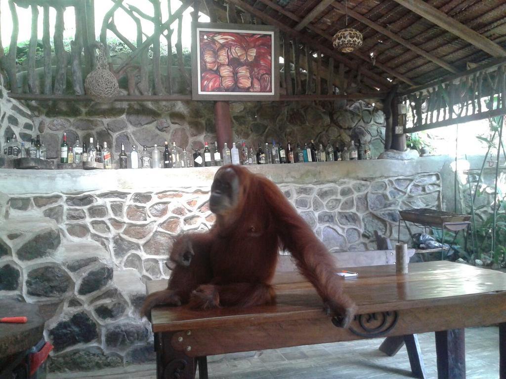 Kupu Kupu Garden Guest House & Cafe 부킷 라왕 외부 사진