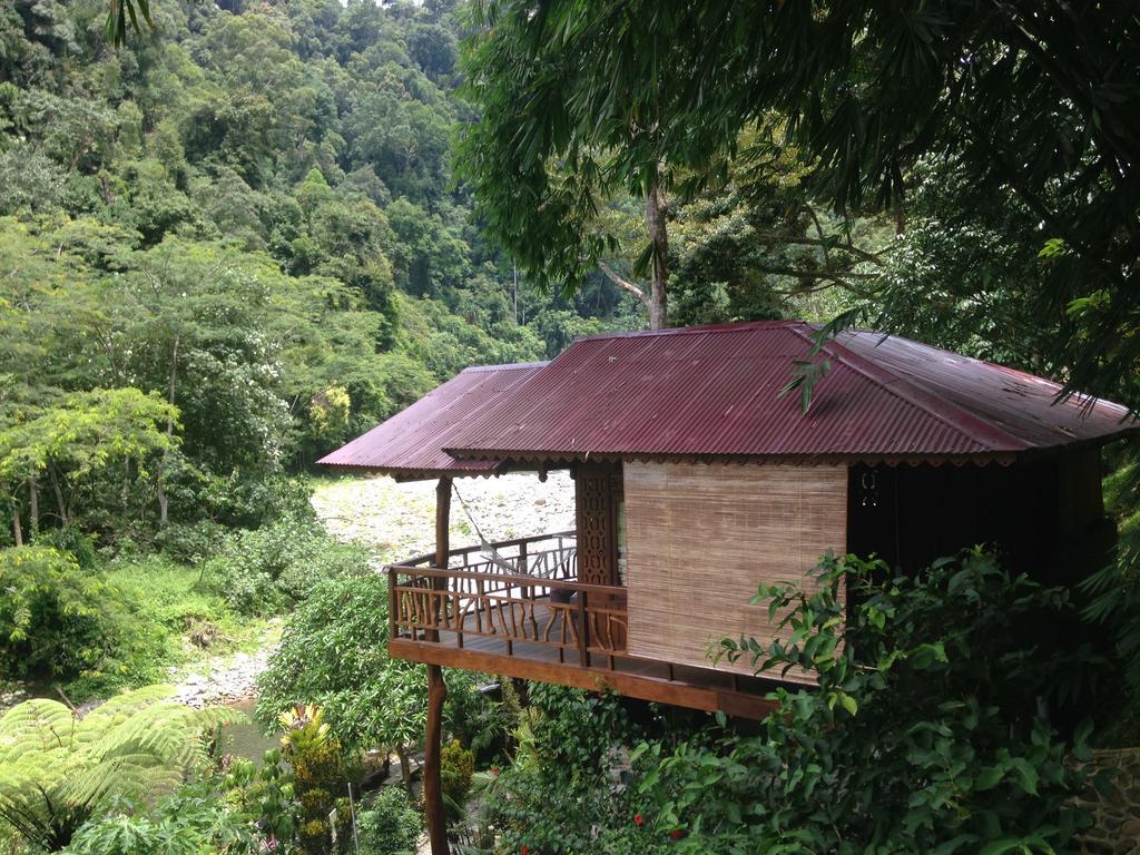Kupu Kupu Garden Guest House & Cafe 부킷 라왕 외부 사진